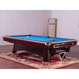 Fancy Nine Ball 6th Generation Billiards Table 9ft